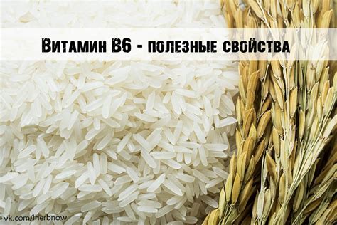 Преимущества витамина В6 для пищеварения