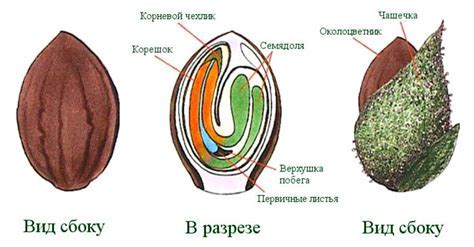 Преимущества и применение индентора