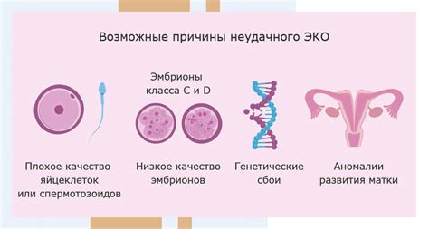 Преимущества и эффективность применения Прогиновы при переносе эмбрионов