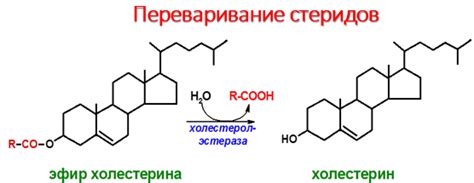 Преимущества нейтрального жира паяльного