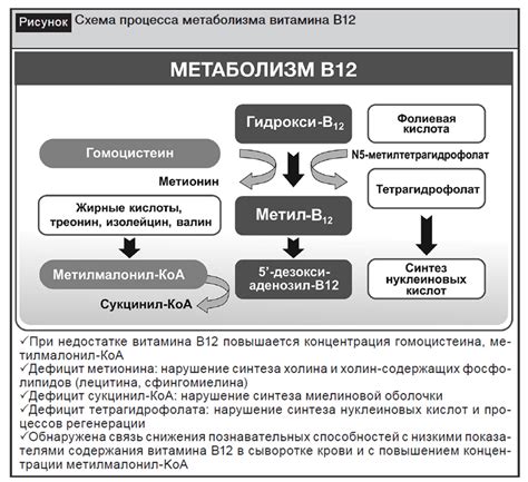 Прием определенных лекарств и влияние на уровень витамина B12