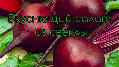 Применение буряка и свеклы в кулинарии