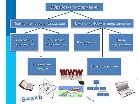 Применение сбора информации в информатике 7 класс