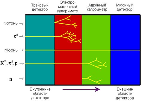 Применение физических моделей в различных областях физики