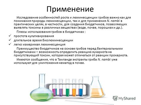 Применение шкур в практических целях: создание предметов и амуниции