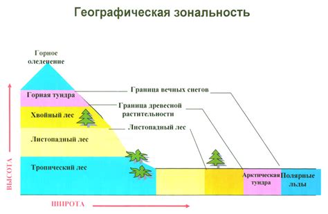 Примеры зональности в географии 7 класс