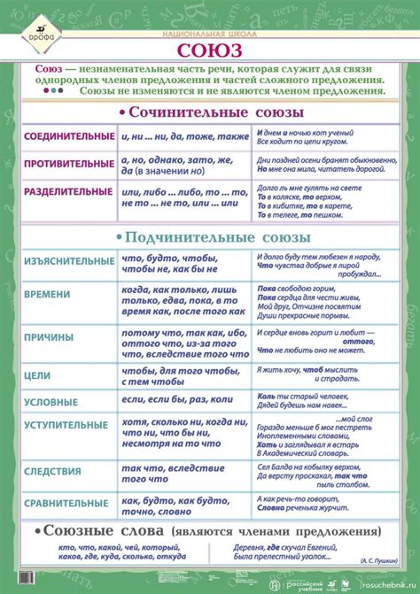 Примеры и функции союзов в русском языке