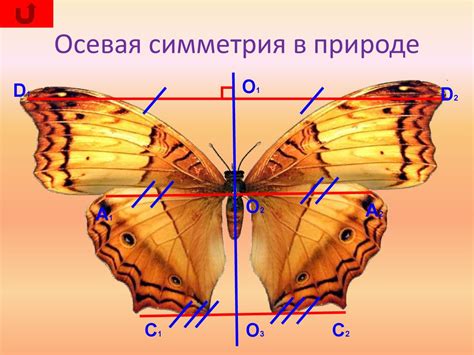 Примеры осей вокруг нас