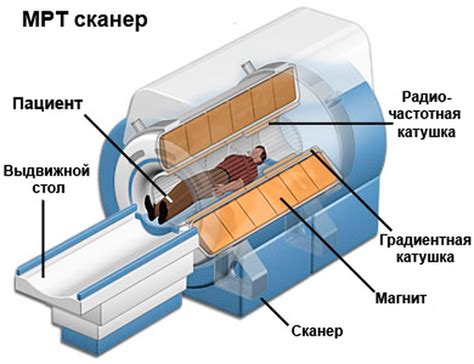 Принцип работы флюорографического аппарата