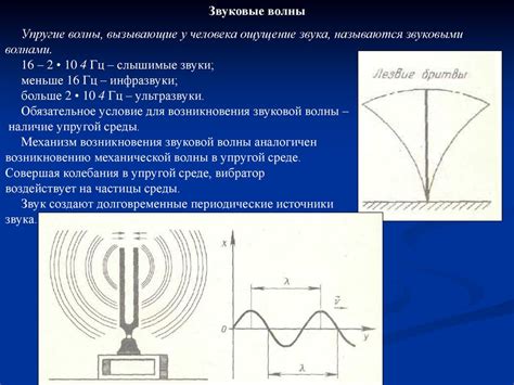 Природные звуки, слышимые в ракушке