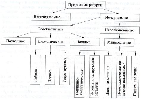 Природные ресурсы и внешние факторы ведения хозяйства на полевых участках