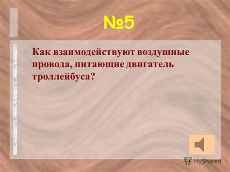 Причины, по которым бабочки притягиваются к окнам