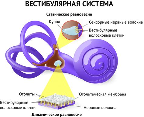 Причины головокружения, слабости и рвоты