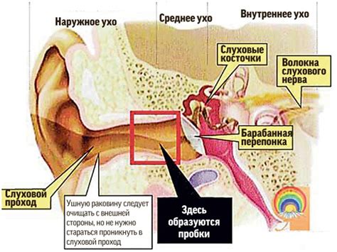 Причины непроходимости капель в ухе