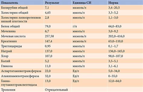 Причины повышения билирубина у младенцев