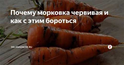 Причины потребления моркови