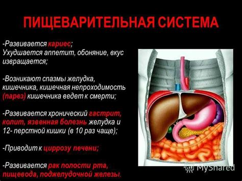 Проблематика спазмов в животе у детей