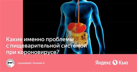 Проблемы с пищеварительной системой и их последствия