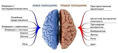 Прогноз и осложнения субатрофии головного мозга