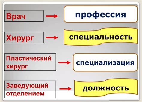 Программа обучения и специализация