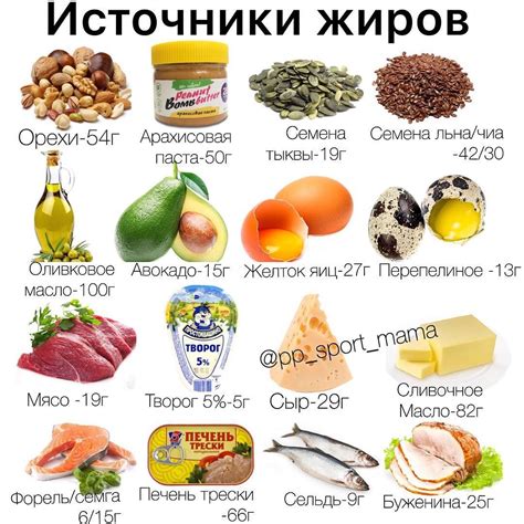 Продукты, богатые жиром