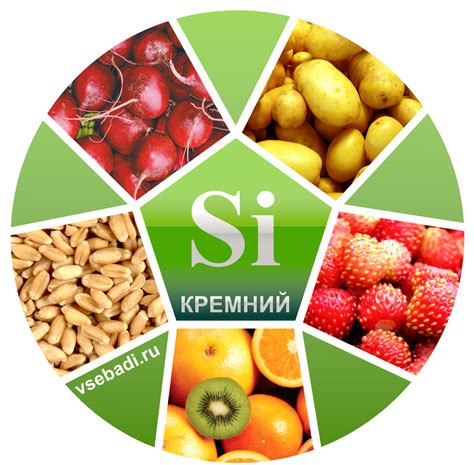 Продукты, богатые кремнием