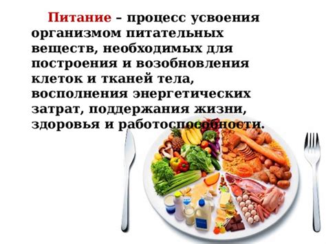 Продукты, способствующие пищеварению