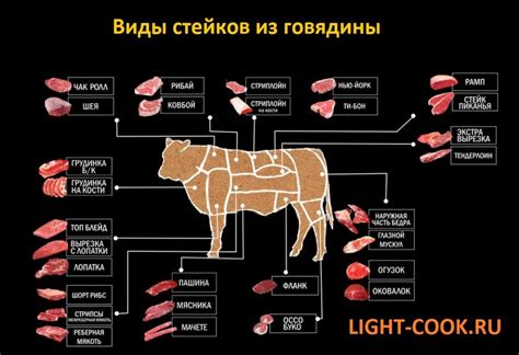 Происхождение и характеристики мяса быка