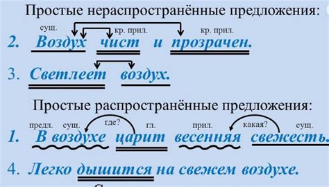 Простое нераспространенное предложение: сущность