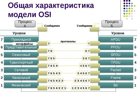 Протокол сети: основные понятия и принципы работы