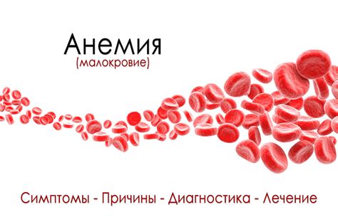 Профилактика анемии и укрепление гемоглобина