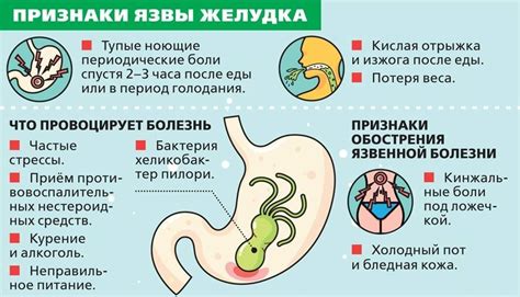 Процессы в желудке при длительном голодании