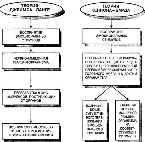 Психологический смысл сна: проработка эмоциональных состояний