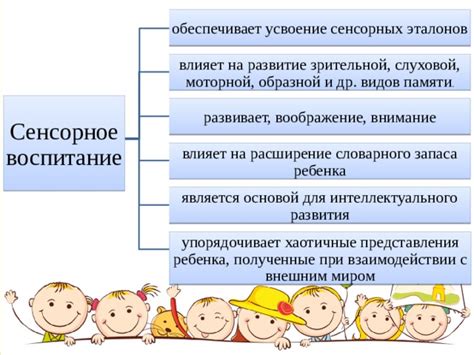 Развитие сенсорных органов