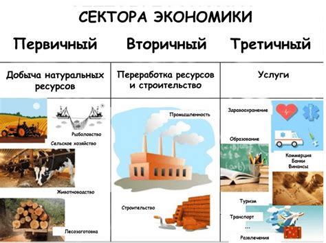 Развитие южной экономики: новые секторы и достижения