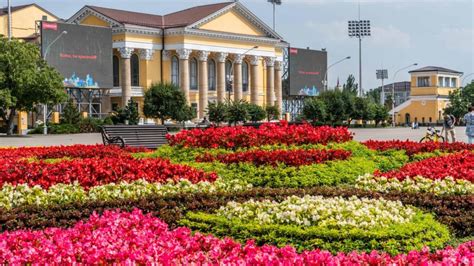 Развлечения и культурные мероприятия, оплачиваемые соц контрактом