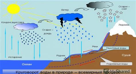 Раздел 2: Осадки и влажность