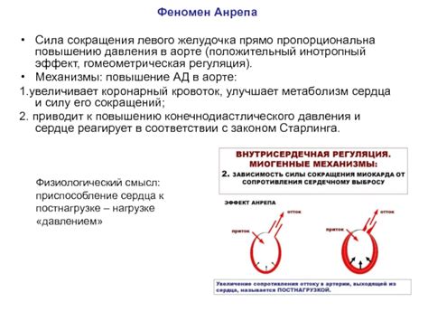 Раздел 2: Положительный эффект повышенного давления