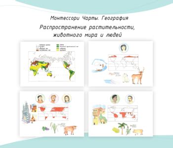 Раздел 4: Распространение растительности и животного мира