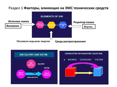 Раздел 5: Дополнительные факторы, влияющие на плату