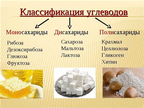 Различия в свойствах и реакционной способности крахмала и целлюлозы