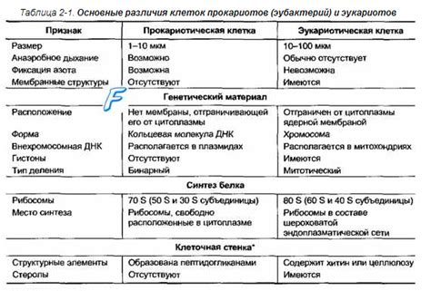 Различия между крокид и рейма