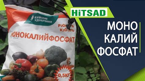 Различия между сульфатом калия и монофосфатом калия