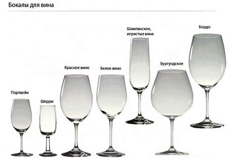 Размер и форма бокала