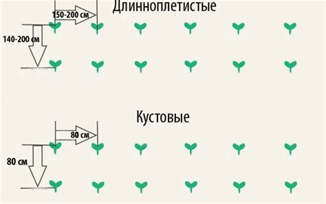 Размер лунки и глубина посадки