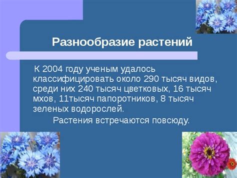 Разнообразие видов цветковых растений