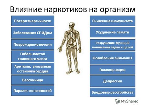 Разрушение мышц и ослабление иммунитета