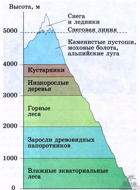 Распространение высокой поясности в мире