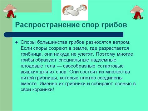 Распространение пещерных грибов