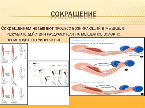 Расслабление мышц и смягчение болевого синдрома